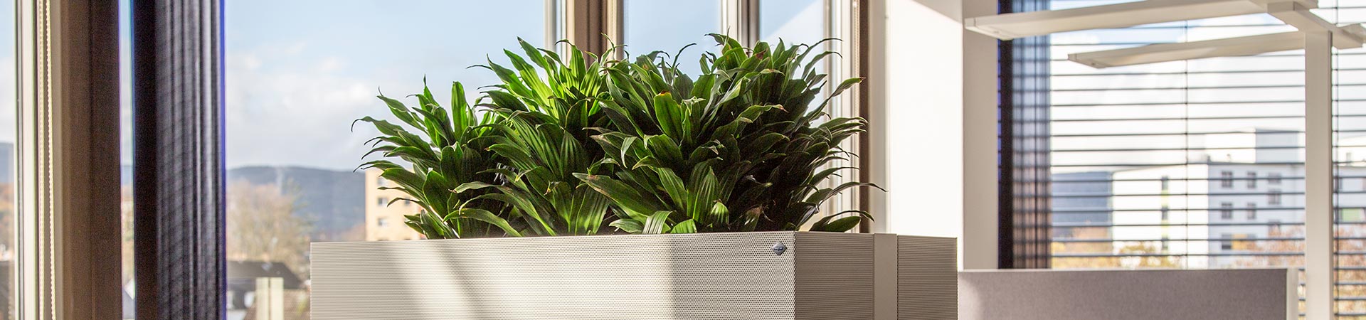 Climate-Office-Sideboard-Pflanzaufsatz-by-akustikundraum-(11)